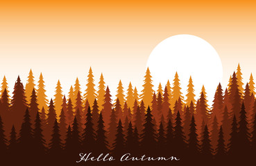 Autumn background with forest landscape with pine trees at dawn and hello autumn text. Vector illustration.