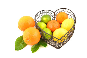 Citrus fruits in basket, isolated on white background. Lemon, orange, lime.