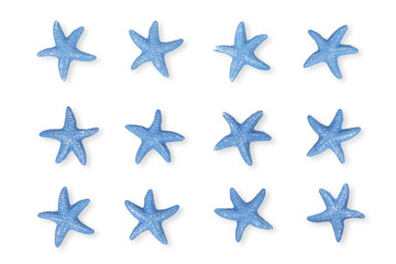 starfish on white