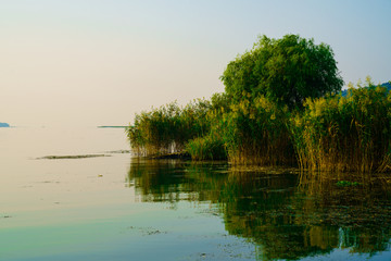 the lakeside scenery