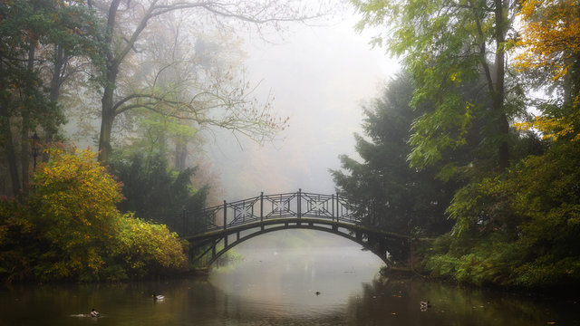 Fototapeta Scenic view of misty autumn landscape with beautiful old bridge in the garden with red maple foliage.