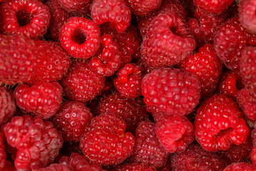 Top view - freshly picked garden raspberries.