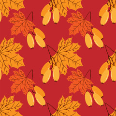 Seamless pattern of maple leaves with yellow berry branches on red background. Vector illustration.
