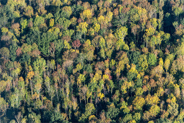 vue aérienne de forêt à l'automne à Berville dans le Val d'Oise en France
