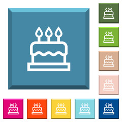 Birthday cake white icons on edged square buttons
