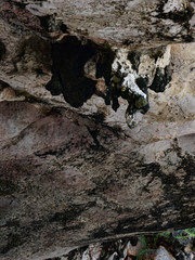 rock in cave