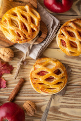 Homemade Apple pie or tart on autumn background. Autumn concept. Copy space.