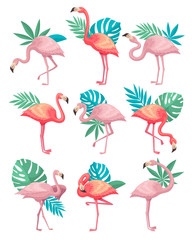 Flat vector set of beautiful flamingos with green leaves of tropical plants. Birds with pink feathers, long legs and neck