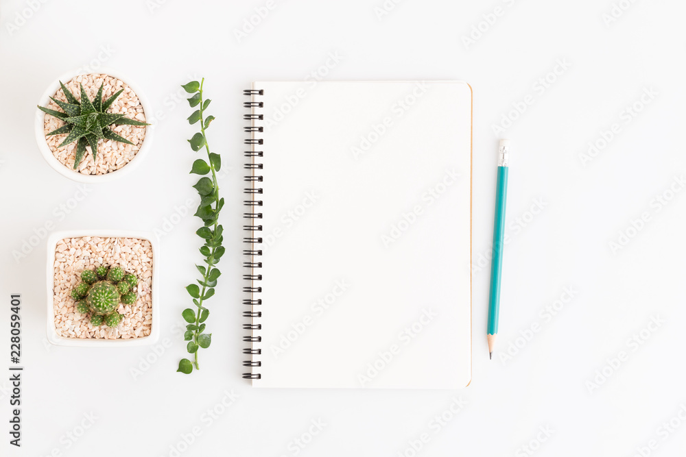 Wall mural top view white notebook with cactus on white background, flat lay photo and copy space for design