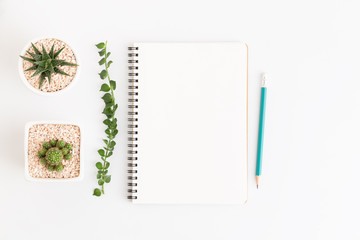Top view white notebook with cactus on white background, flat lay photo and copy space for design