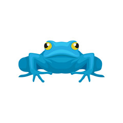 Flat vector icon of funny frog, front view. Amphibian with big yellow eyes. Element for mobile game or children book
