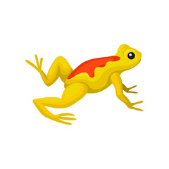 Flat vector icon of bright yellow frog with orange spot on back. Small amphibian with black eye, squat body and long hind legs