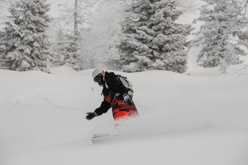 Man riding on the snowboard on the backgrpund of snowcovered trees
