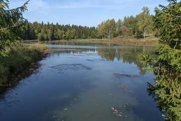 Осень, лес, озеро.