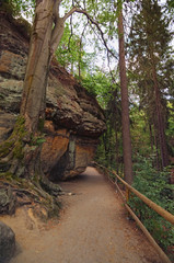 Narrow hiking trail in the summer forest. Way to the Falcon's Nest and Pravcice Gate.  Famous hiking trail and touristic place. Bohemian Switzerland national park. Czech Republic