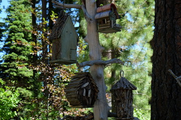 Bird house