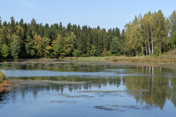 Осень, лес, озеро.