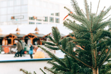 Christmas tree or fir branches in the foreground. The skating rink in Berlin in Alexanderplatz is...