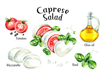 Caprese salad ingredients Recipe. Watercolor hand drawn illustration isolated on white background