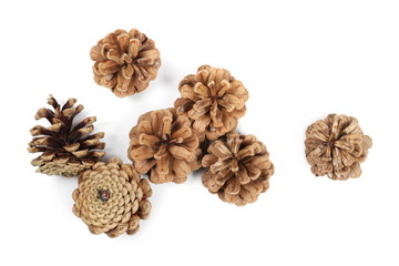Pine cones isolated on white background, top view