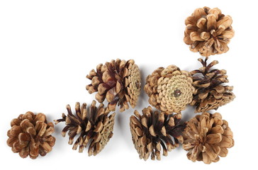 Pine cones isolated on white background, top view