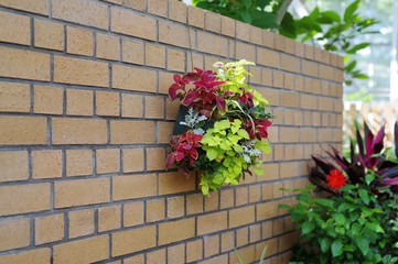 煉瓦の壁と花