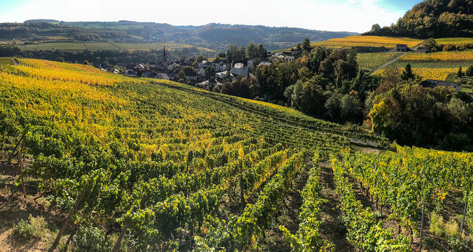 Luxembourg moselle river vine region