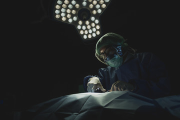 Asian male surgeon focused on critical procedure under surgical light in dark sterile operating...