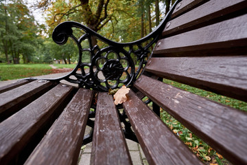 bench in the autumn park