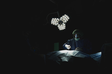 Asian male surgeon focused on critical procedure under surgical light in dark sterile operating...