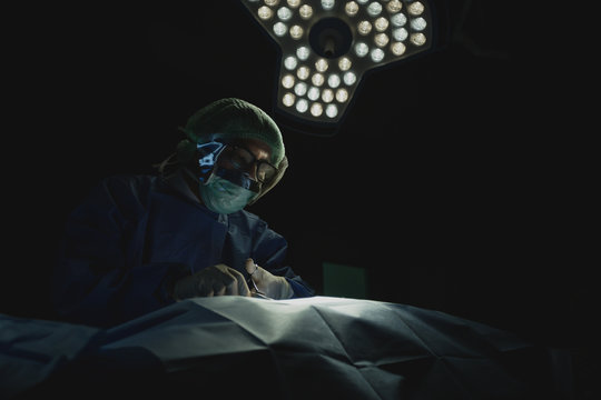 Asian male surgeon focused on critical procedure under surgical light in dark sterile operating room. Intense focus in medicine, Critical care operation, - Powered by Adobe
