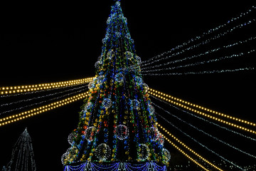 Christmas tree and christmas lights against black night sky