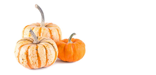 Pumpkins on white background