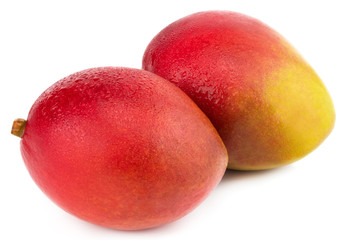 Mango fruit with water drops. Isolated on a white background