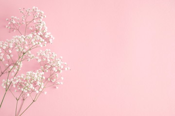 Small white flowers on pastel pink background. Happy Women's Day, Wedding, Mother's Day, Easter, Valentine's Day. Flat lay, top view, copy space 
