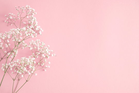 Small white flowers on pastel pink background. Happy Women's Day, Wedding, Mother's Day, Easter, Valentine's Day. Flat lay, top view, copy space 