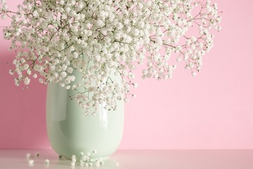 Soft home decor, interior floral, Gypsophila flowers bouquet, vase with white small flowers on pink wall background and on a wooden shelf. 