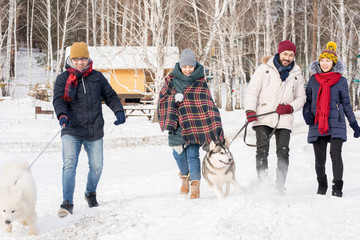 Fototapeta na wymiar Full length portrait of two young couples enjoying time in winter resort outdoors walking dogs and smiling happily, copy space