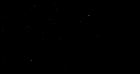 Natural white winter snowfall on a black background