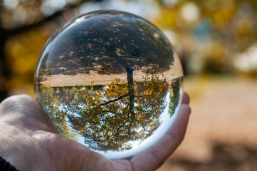 Closeup of a glass ball