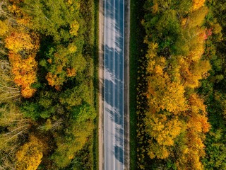 Aerial view of road in autumn forest. Beautiful landscape with  rural road, trees with green, red and orange leaves.
