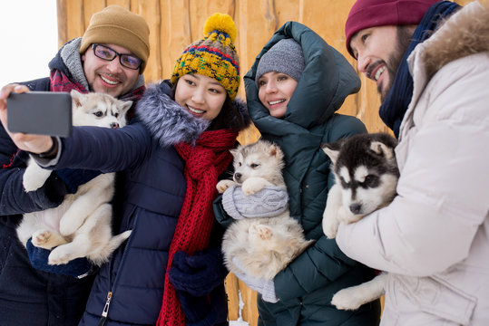 Group of young people playing with adorable husky puppies and taking selfies while enjoying nice winter day outdoors