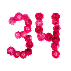 number 34 from flowers of a red and pink rose on a white background. Typographical element for design. Flower numbers, date, isolate, isolated