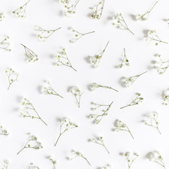 Floral pattern made of gypsophila on a white background