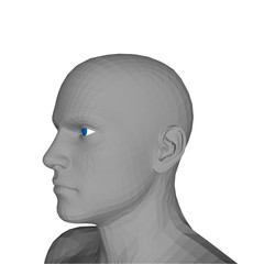 Man head. Isolated on white background. Vector illustration.