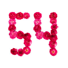 number 54 from flowers of a red and pink rose on a white background. Typographical element for...