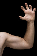 Fototapeta premium man body shape