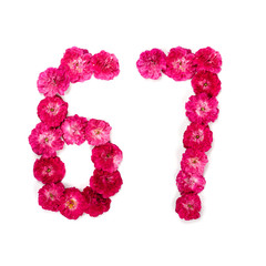 number 67 from flowers of a red and pink rose on a white background. Typographical element for design. Flower numbers, date, isolate, isolated