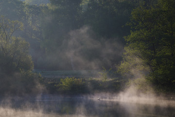Nebel an der Ruhr am Morgen