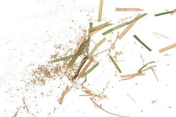 Green and yellow cut grass stem pieces with seeds isolated on white background, organic texture,...